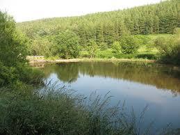Wooler Common