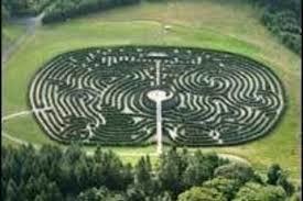 The Peace Maze
