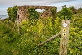 Daws Castle