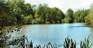 Newent Lake