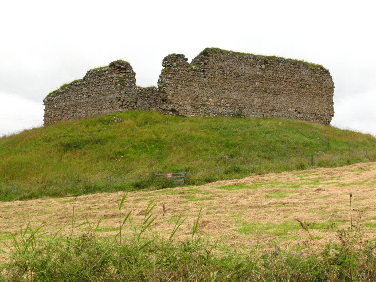Castle Roy
