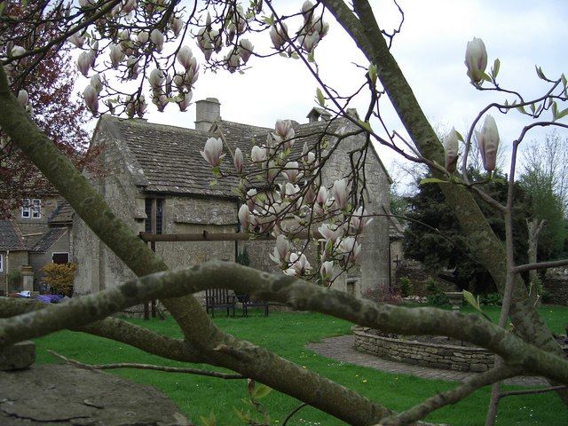 Chapel Plaister