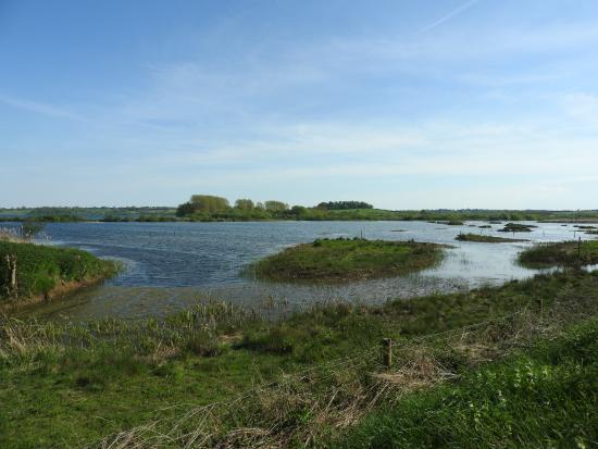 Rutland Water Nature Reserve