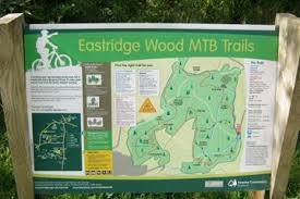 Eastridge Woods