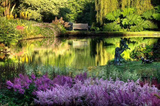 Marwood Hill Gardens