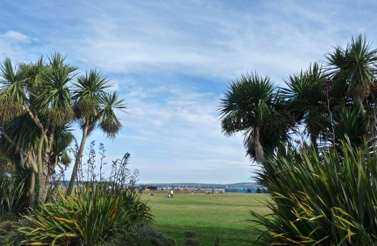 Hamworthy Park