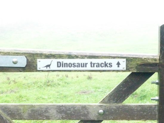 Keates Quarry Dinosaur Footprints
