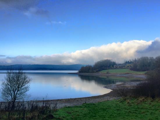 Carsington Water
